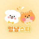 의정부애견분양 [멍냥스타]를 소개합니다 !