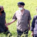 석장농장 이미지