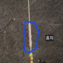 장호원낚시터