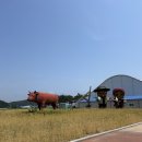 왕피천공원 자전거대여소 이미지