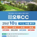 오투투어여행사