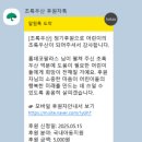 홈데코팔라스