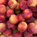 대석농장 이미지