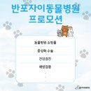 반포자이동물병원 | 프로모션 - 반포자이동물병원
