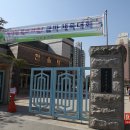 금파초등학교 | 김포 금파초등학교 운동회(근로자의날) 관람기