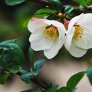 현도중학교 이미지