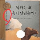 #낙타는 왜 혹이 달렸을까? 를 읽고 이미지