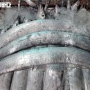 삼면이바다since1991 이미지