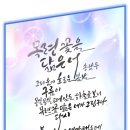 꽃 닮은 너 네이버블로그