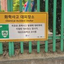 서평초교 열린뉴스통신