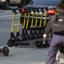 주정차65 이미지