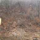 다미농원 이미지