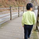 단풍약국 이미지