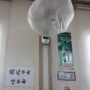 송암손칼국수 네이버블로그