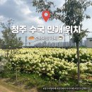 토성 | [청주 카페] 수국 만개한 토성마을 다녀온 후기 🌳 소금빵 • 버터떡 솔직 후기 ˚˖𓍢ִ໋❀