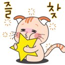 충세흑돼지고기마씸