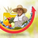주식회사정도 농업회사법인