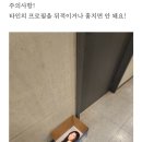 비유화인 이미지