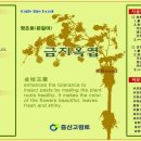 증산고령토 Daum카페