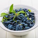 (주)리브퓨어코리아 - 서구 | (주)리브퓨어코리아