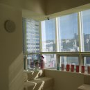 벨로의원 이미지