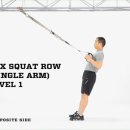 Suspended TRX - Single Arm and Leg Squat Row 이미지