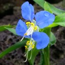 토산1리 이미지