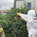 중랑소방서 이미지