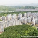 수지자이2차 Daum카페