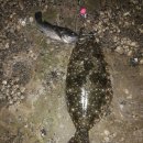 덕적여관 이미지