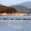 우리 태양광발전소 이미지