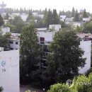 주공1단지(2) 이미지