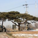 이화초교 정문 이미지