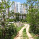 코오롱(아) 이미지