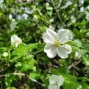 비블리아성서식물원 이미지