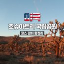 키스모텔 | 조슈아트리 국립공원 1박2일 날씨 경비 코스 총정리 당일코스투어 추천
