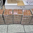 아주동 50 새거제신문