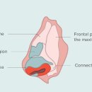 하나비의원 이미지