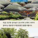 시간이멈춘마을 이미지