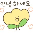 에그박스일광점