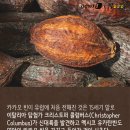 스토리쿡 이미지