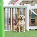 동반84 글램핑 이미지