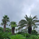 건강과성박물관 제주 이미지