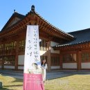 예촌사랑 이미지