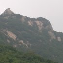 불광1-009 Daum카페