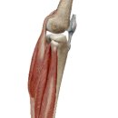 운동J GYM 이미지