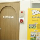 대구애견미용 강아지호텔 모여라솜뭉치 이미지
