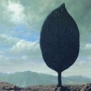 신미술관 이미지