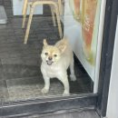 팔공세탁소 이미지