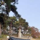 부여(임천)-16 이미지